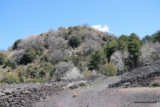 nte Egitto-29-04-2023 10-28-29
